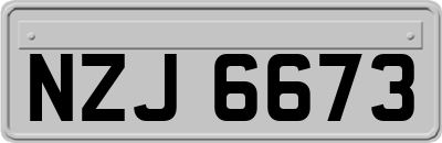 NZJ6673