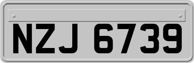 NZJ6739