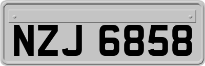 NZJ6858