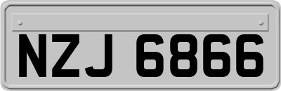 NZJ6866