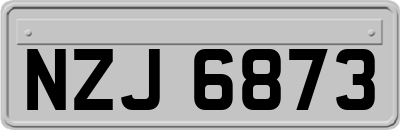 NZJ6873