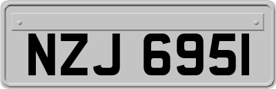 NZJ6951
