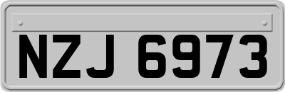 NZJ6973