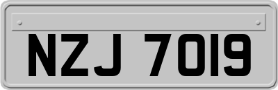 NZJ7019