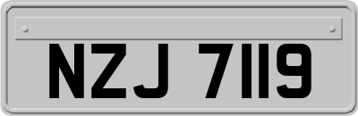 NZJ7119