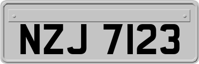 NZJ7123