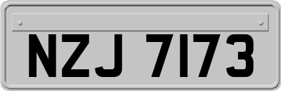 NZJ7173