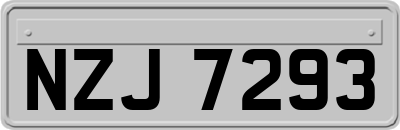NZJ7293