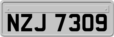 NZJ7309