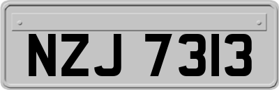 NZJ7313