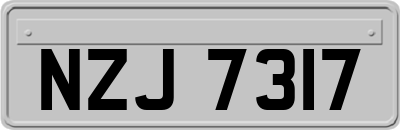 NZJ7317