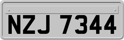 NZJ7344
