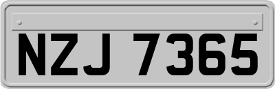 NZJ7365