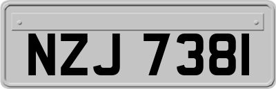 NZJ7381