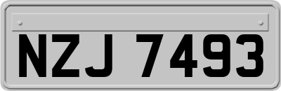 NZJ7493
