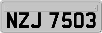 NZJ7503