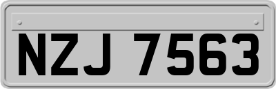 NZJ7563