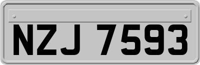NZJ7593