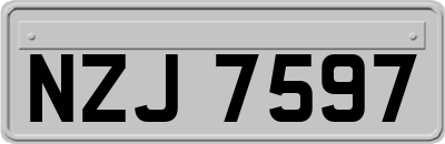 NZJ7597