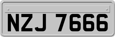 NZJ7666
