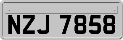 NZJ7858