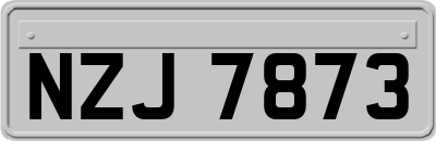NZJ7873