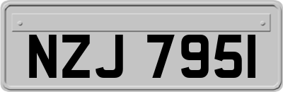NZJ7951