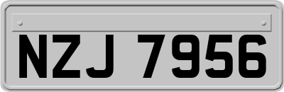 NZJ7956