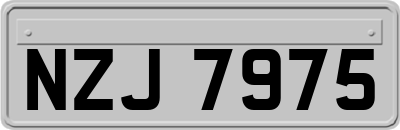 NZJ7975
