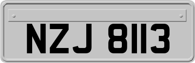NZJ8113