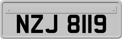 NZJ8119