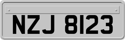 NZJ8123