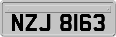NZJ8163