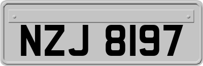 NZJ8197