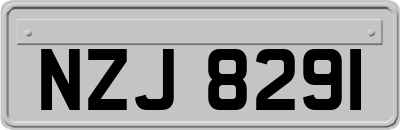NZJ8291
