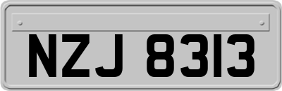 NZJ8313