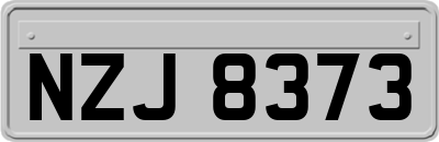 NZJ8373