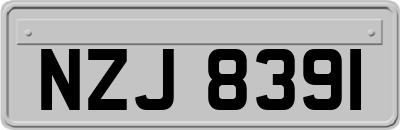 NZJ8391
