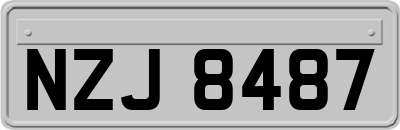 NZJ8487