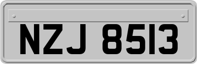NZJ8513