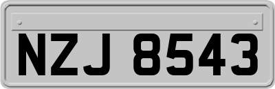 NZJ8543