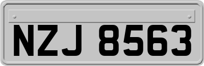 NZJ8563