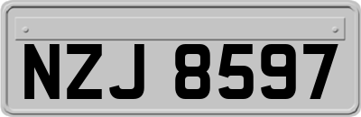 NZJ8597