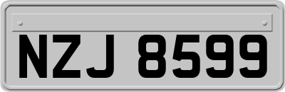 NZJ8599