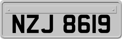 NZJ8619