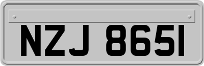 NZJ8651