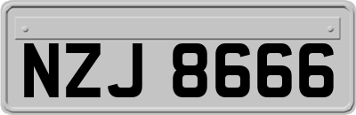 NZJ8666
