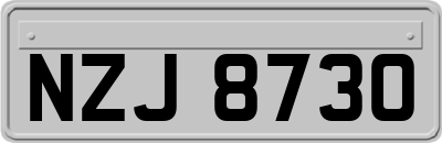 NZJ8730