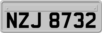 NZJ8732