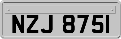 NZJ8751